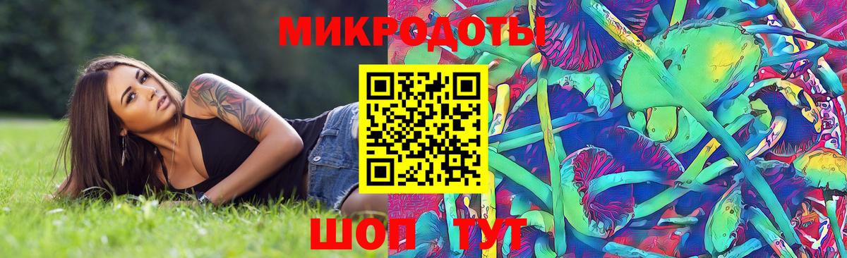 Псилоцибиновые грибы MAGIC MUSHROOMS Алексин
